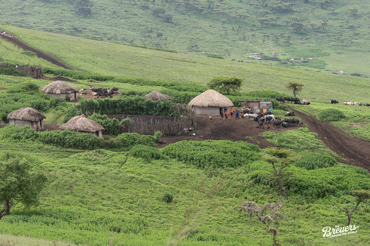 Massai-Dorf auf dem Weg zur Serengeti in Tansania