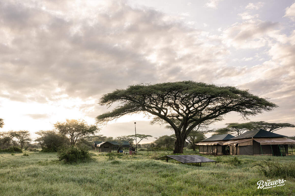 Mobile Camp in der Serengeti von Tansania