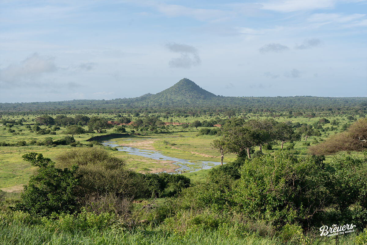 Panorama im Tarangire Nationalpark