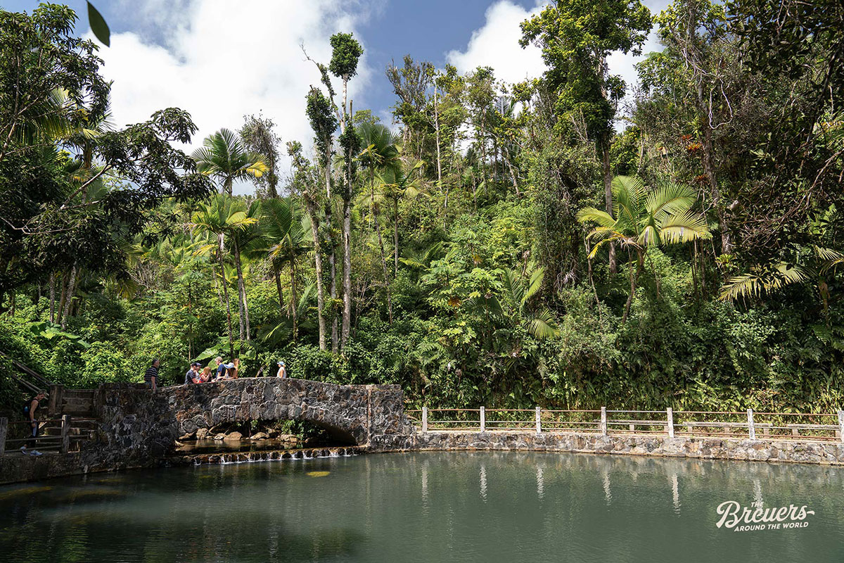 Baño Grande Pool im El Yunque Regenwald