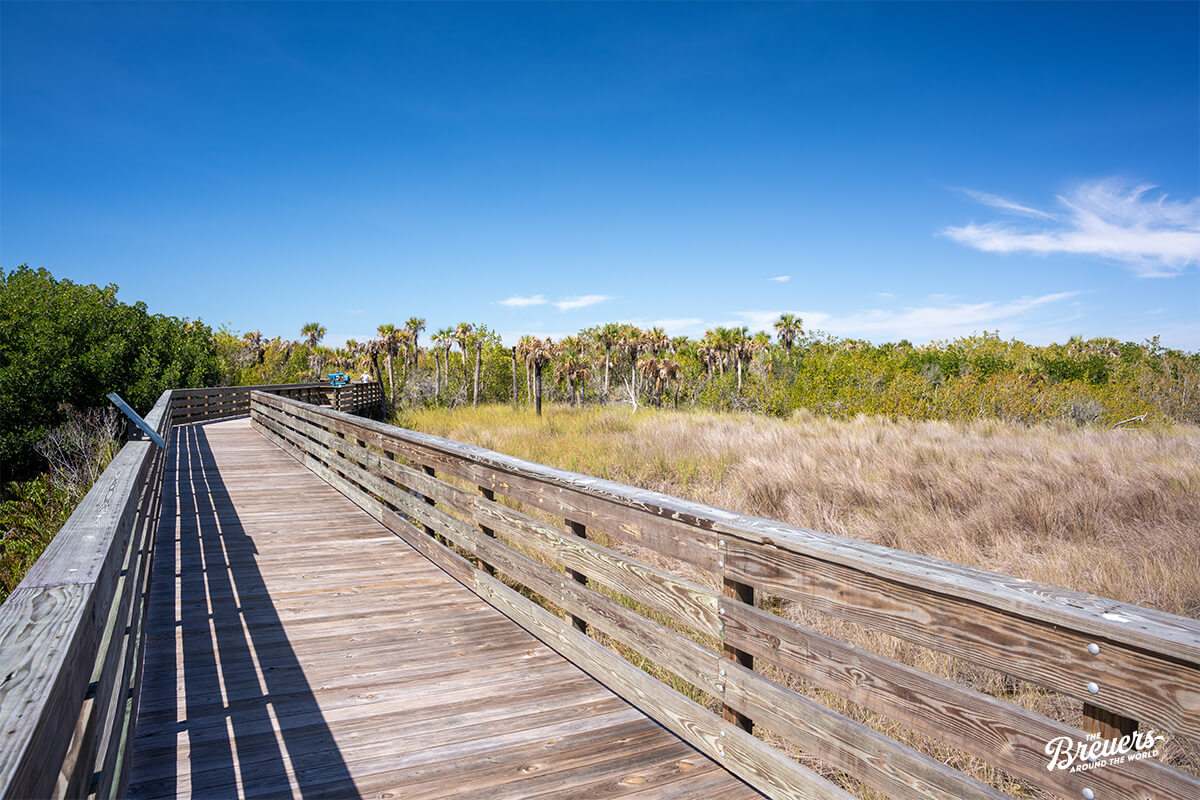 Big Cypress Boardwalk in den Everglades Florida