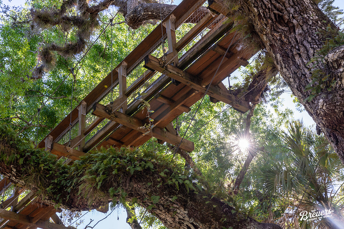 Canopy Walk im Myakka River State Park Entrance in Florida