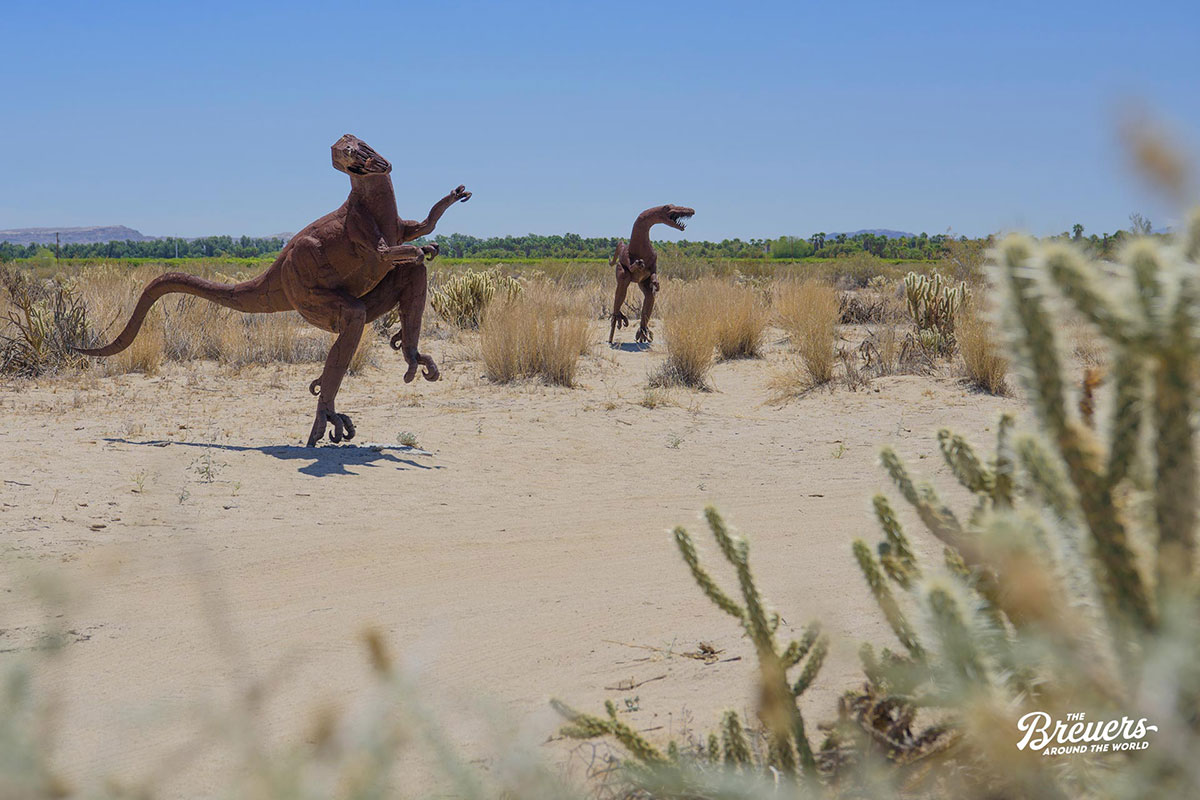 Raptoren im Anza Borrego Desert State Park