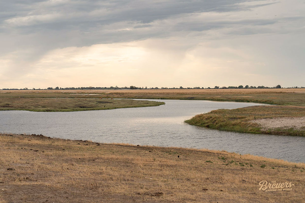Panorama voom Fluss Chobe im gleichnamigen Nationalpark in Botswana