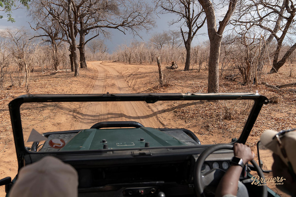 Mit Rangern geht es auf Safari im Chobe Nationalpark