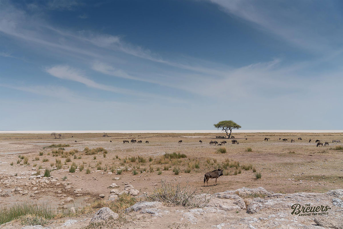 Unendliche Weiten im Etosha Nationalpark