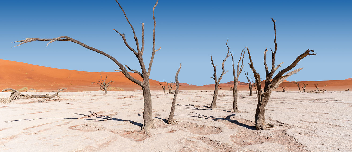Reisebericht Sossusvlei Wüste Namibia