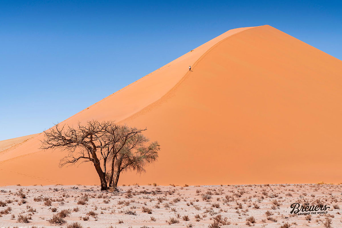 Die riesigen Dünen der Sossusvlei Wüste in Namibia