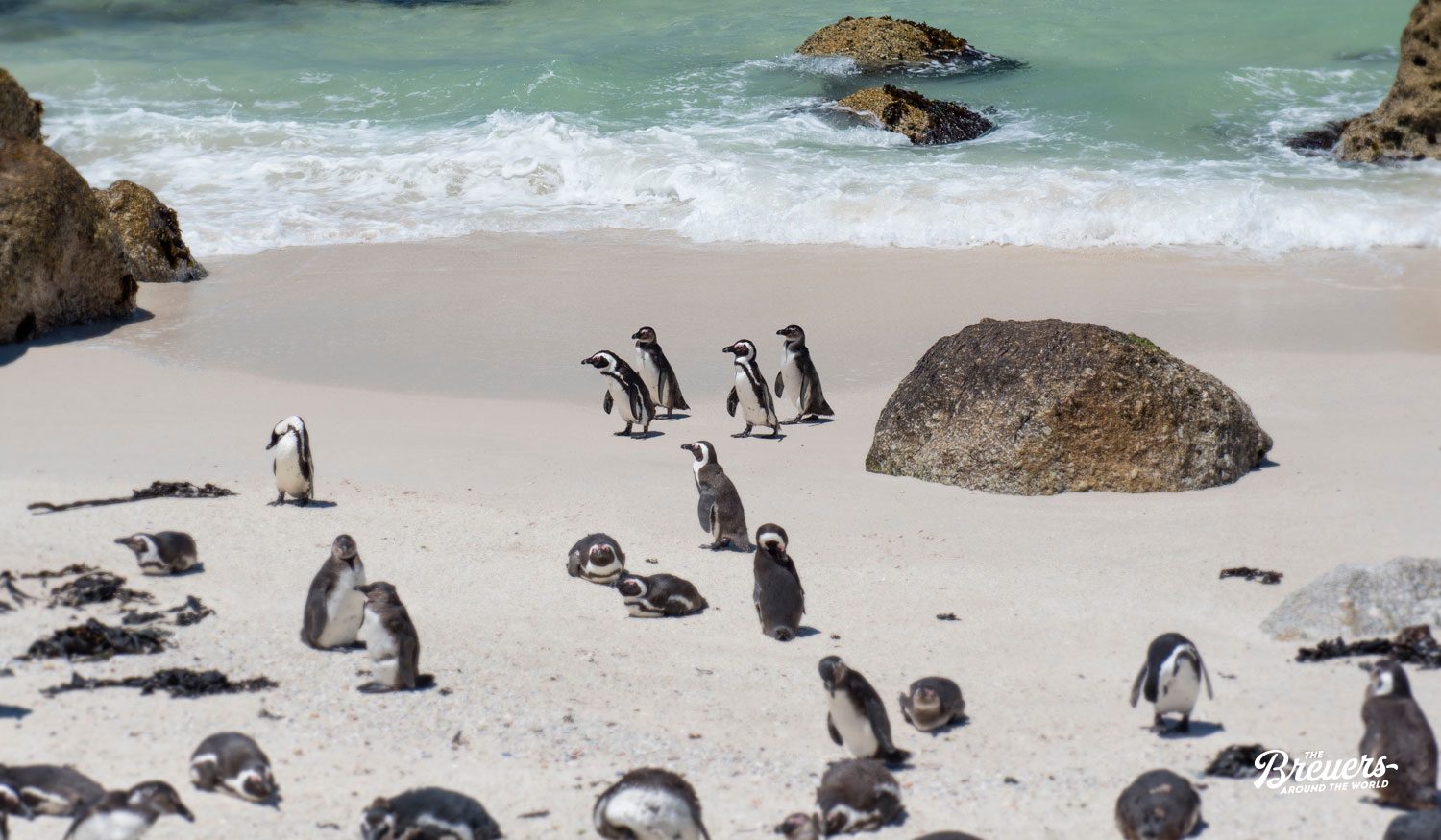 Boulders Beach mit der Pinguin Kolonie
