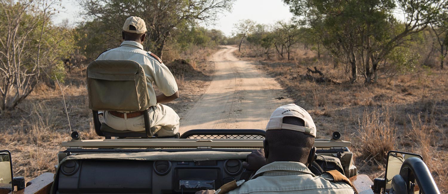 Reisebericht Safari Krüger Nationalpark