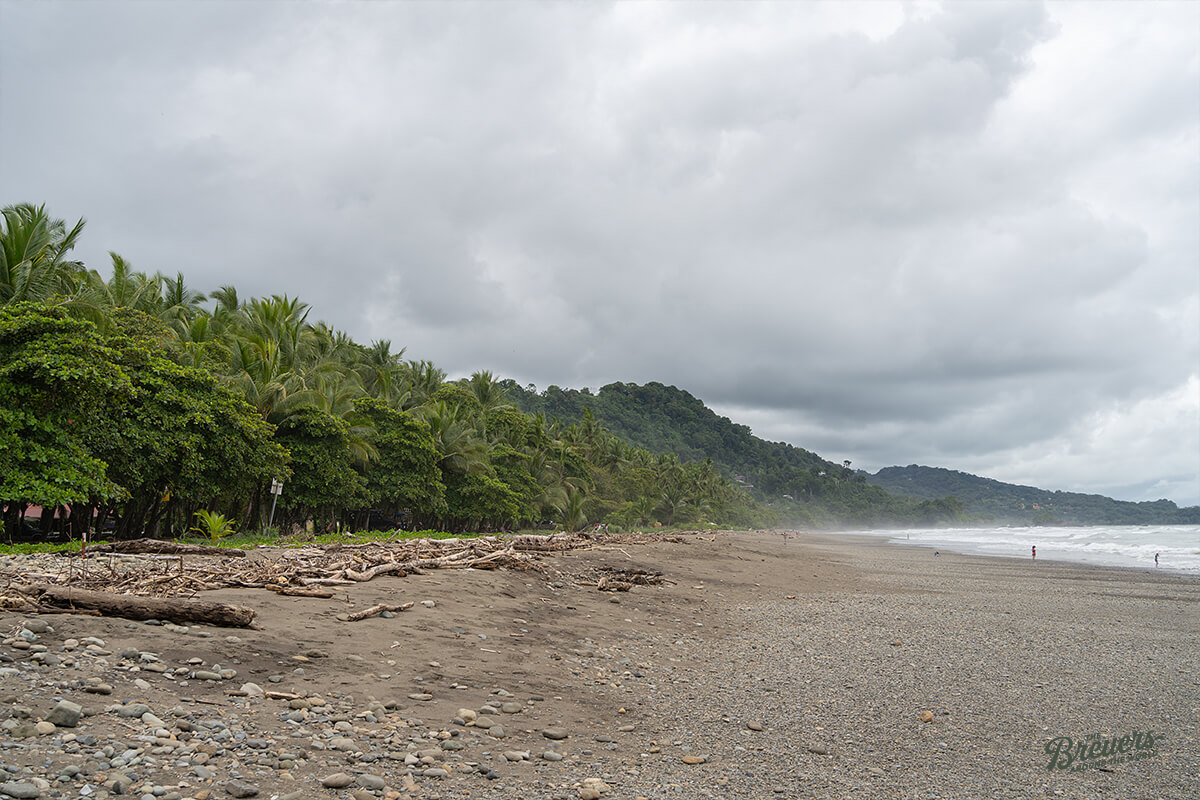 Wilder Strand von Domincal in Costa Rica