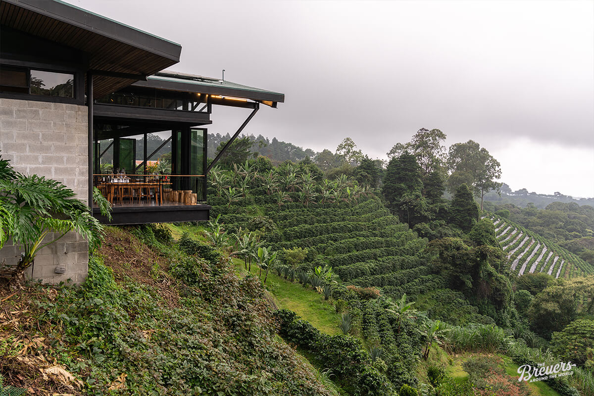 Starbucks Coffee Farm in Costa Rica mit Blick von der Terrasse auf die Plantage