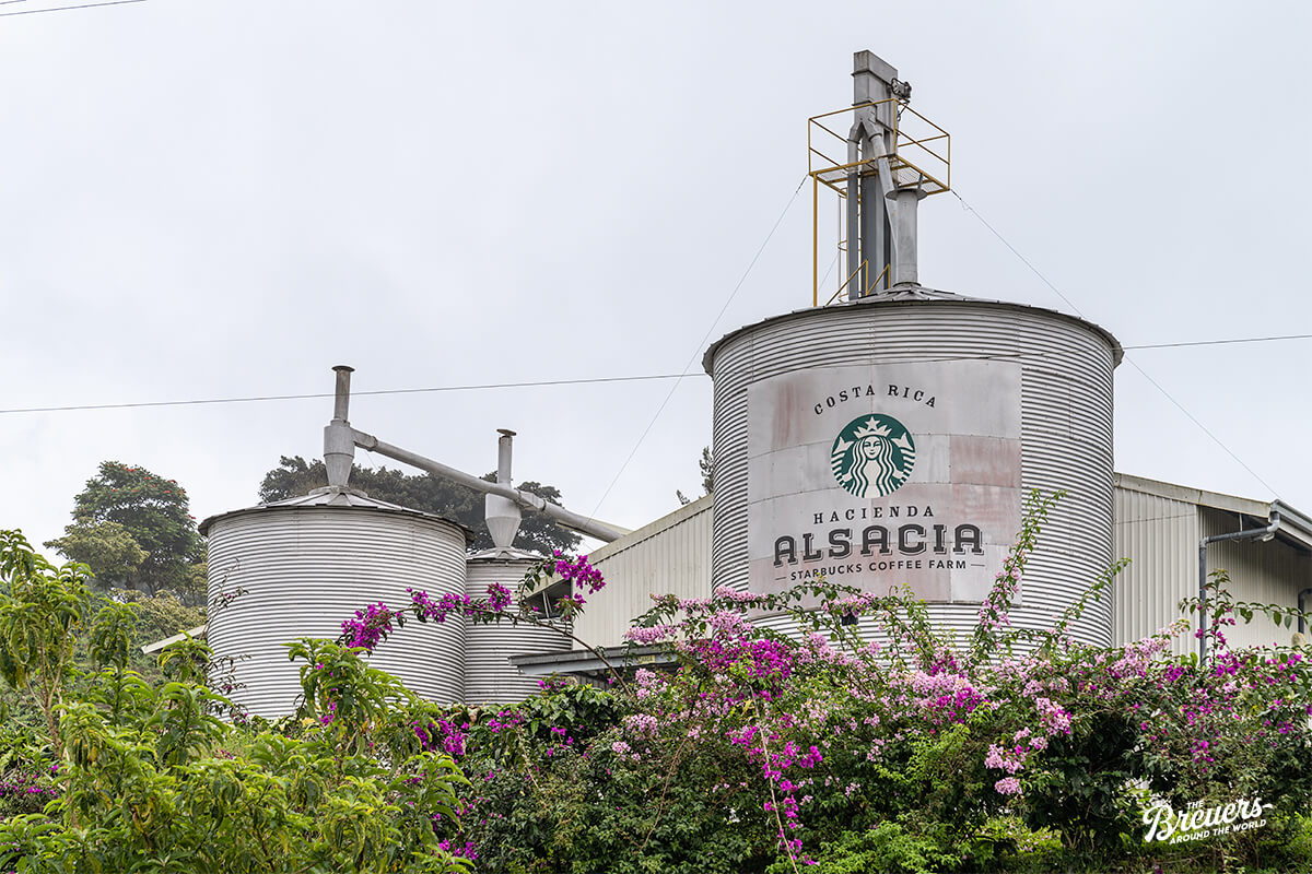 Hacienda Alsacia Starbucks Coffee Farm in Costa Rica