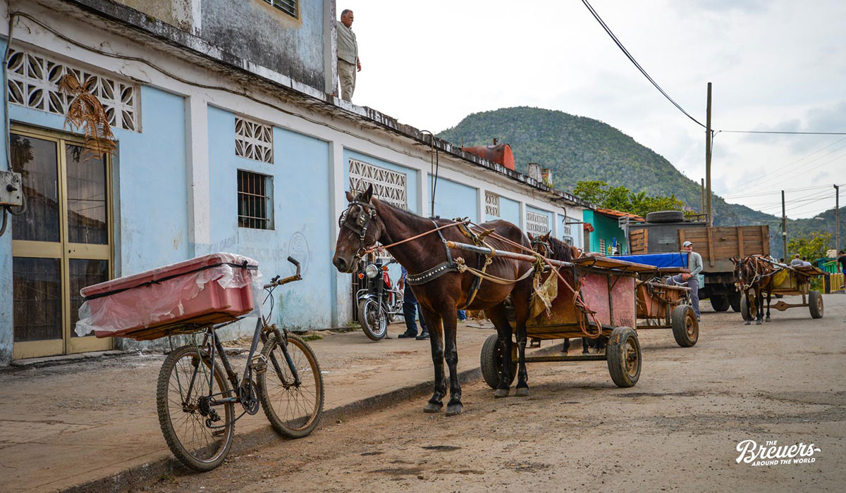 Pferd und Karren sind ein bewährtes Fahrzeug auf Kuba