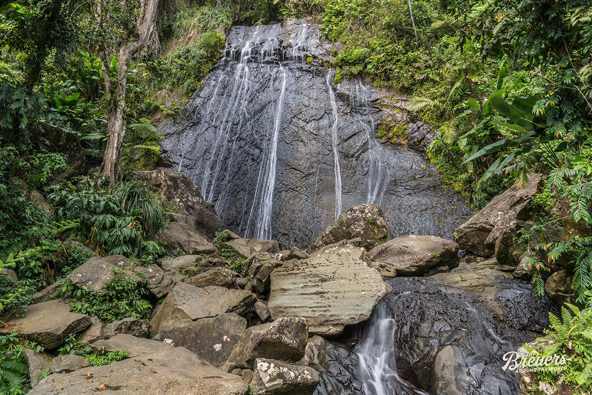 La Coca Falls im El Yunque Regenwald Puerto Rico