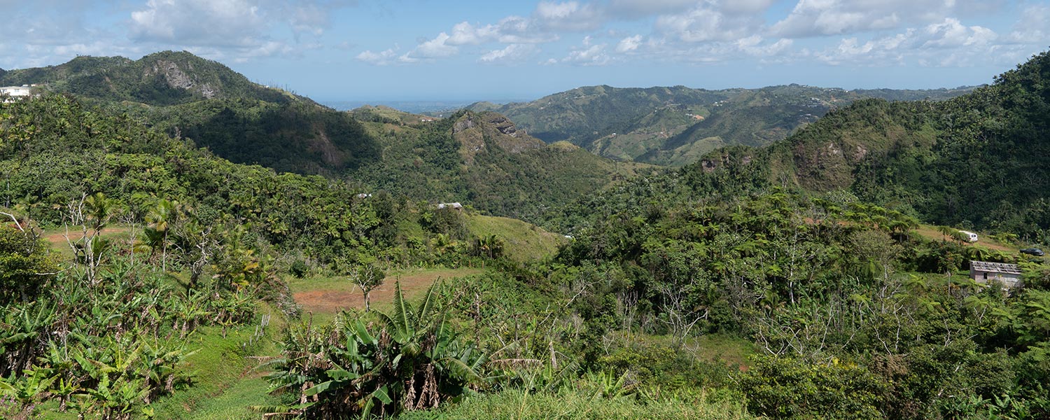 Reisebericht Ruta Panoramica Puerto Rico