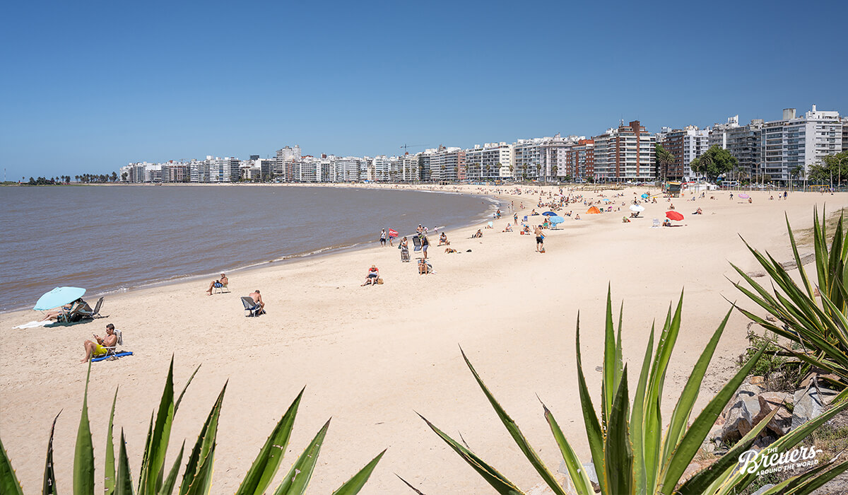 Strand im modernen Teil von Montevideo in Uruguay