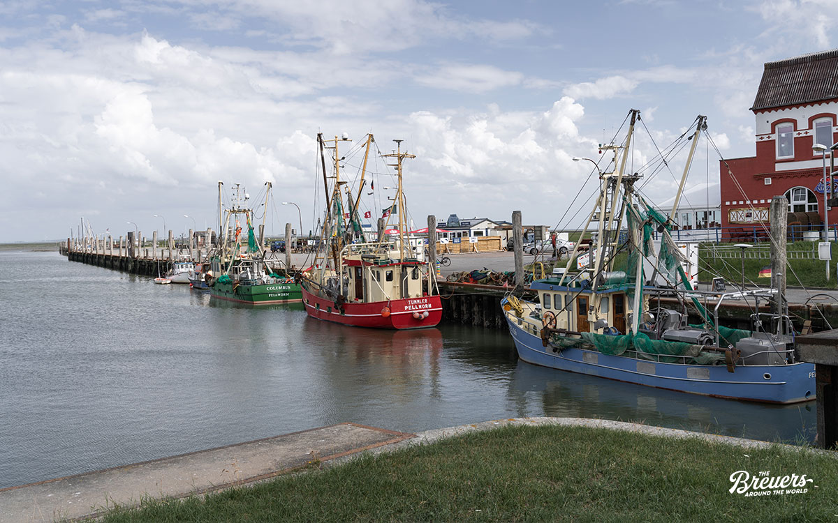 Hafen von Tammensiel ist Heimat der Krabbenkutter-Flotte