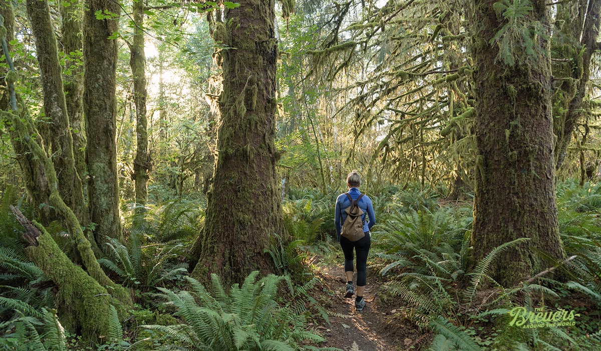 Wanderung durch den Hoh Rain Forest in Washington