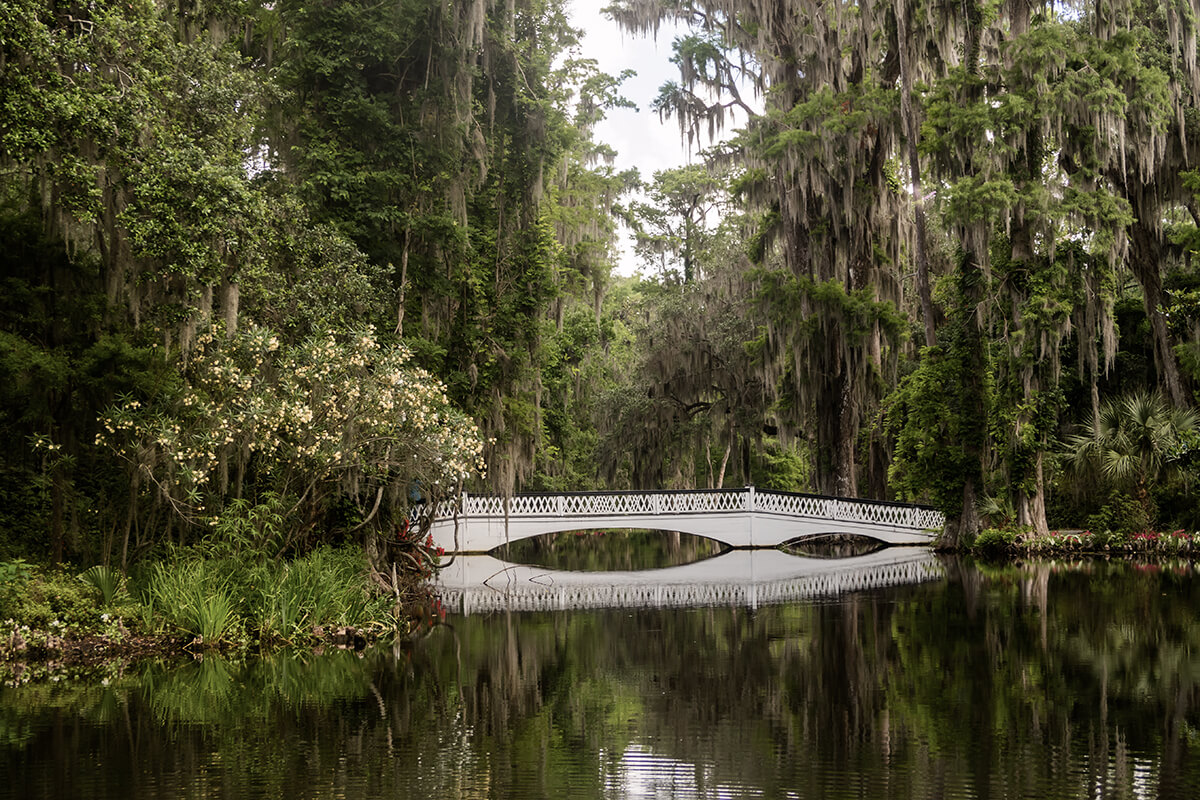 Brücke in den American Gardens auf der Magnolia Plantation in Charleston