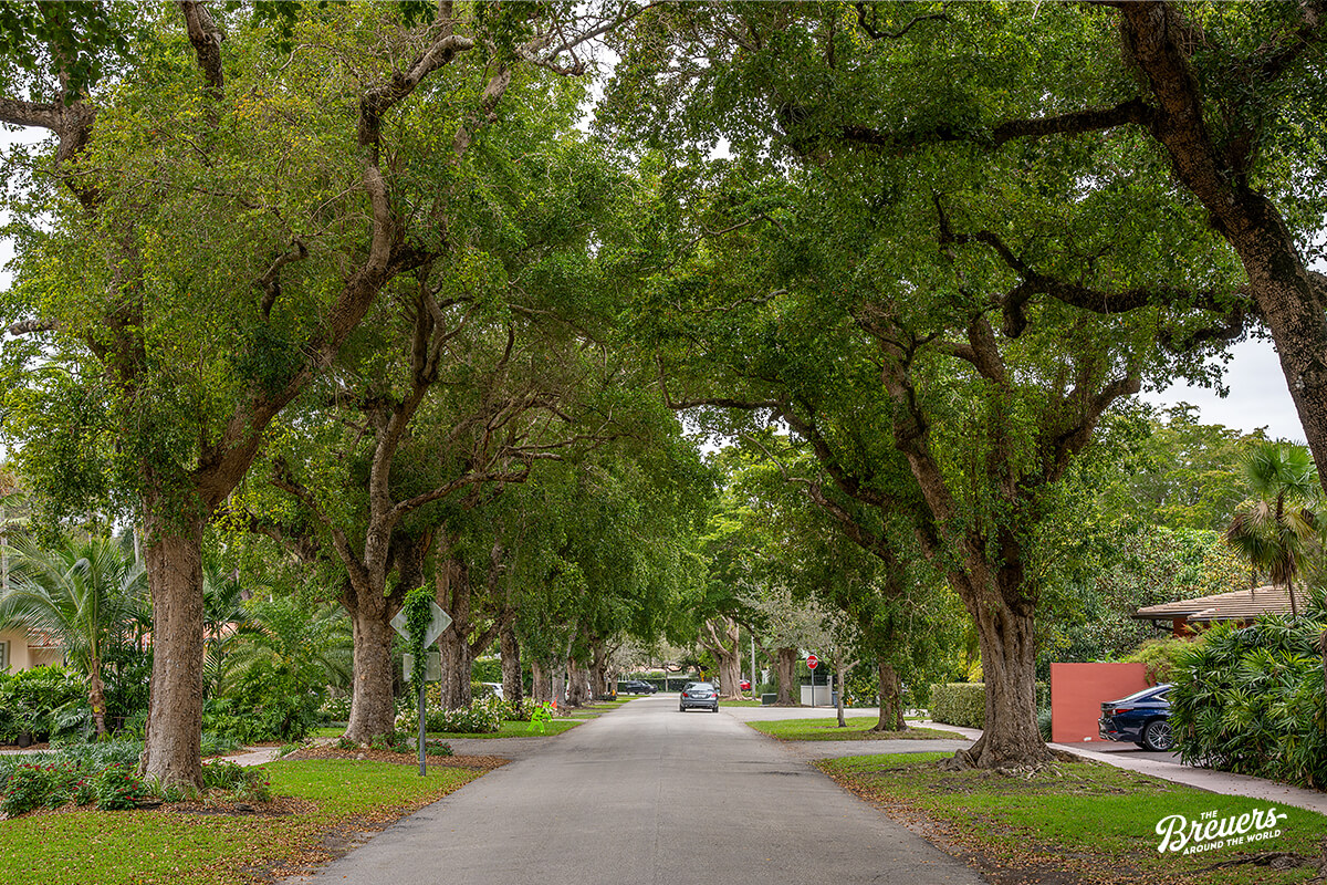 Straße in Coral Gables Miami
