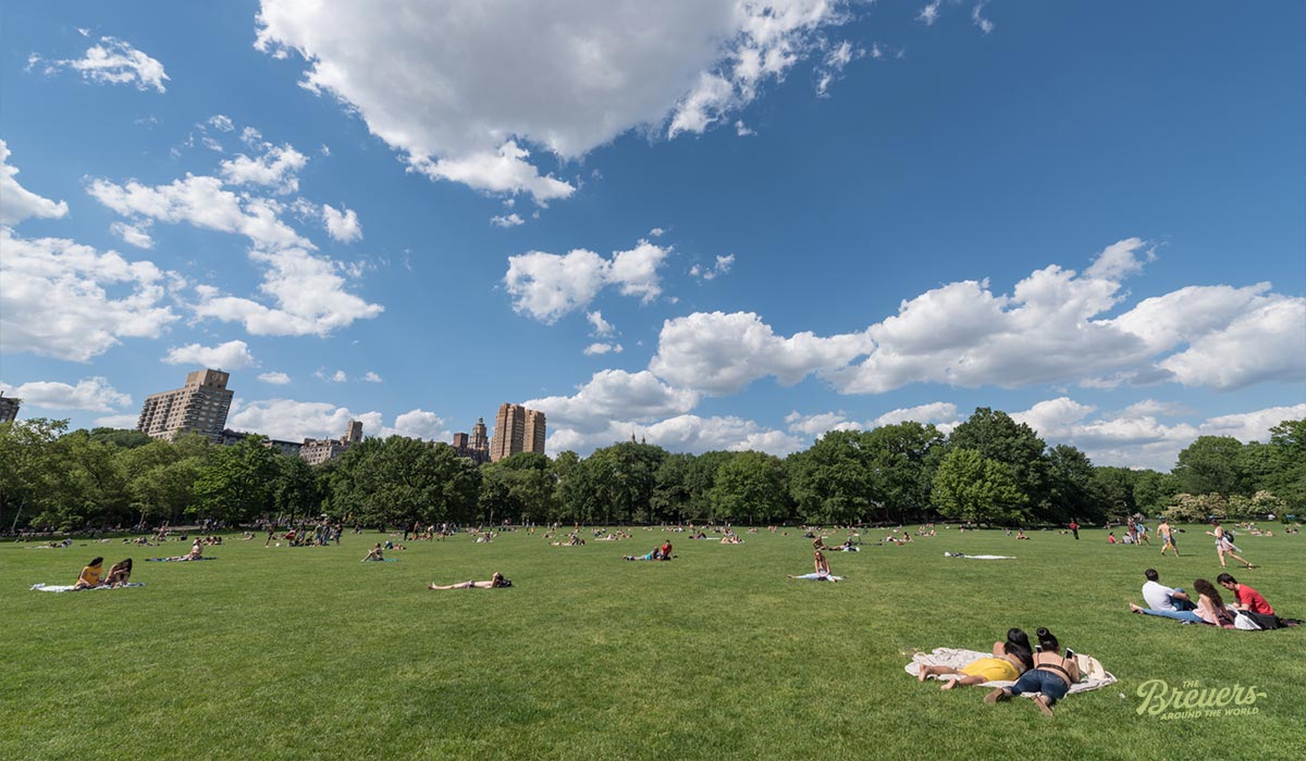 Picknick im Central Park
