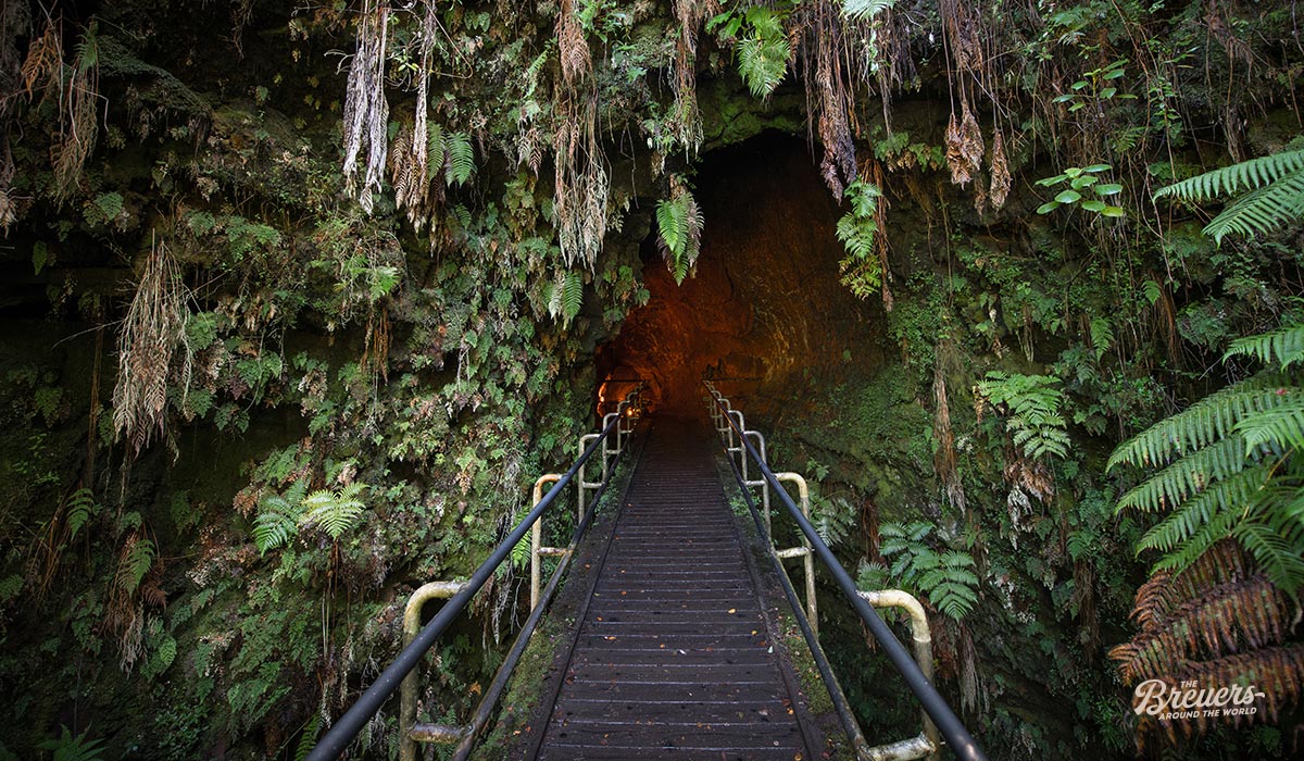Thurston Lava Tube im Hawaii Volcanoes National Park