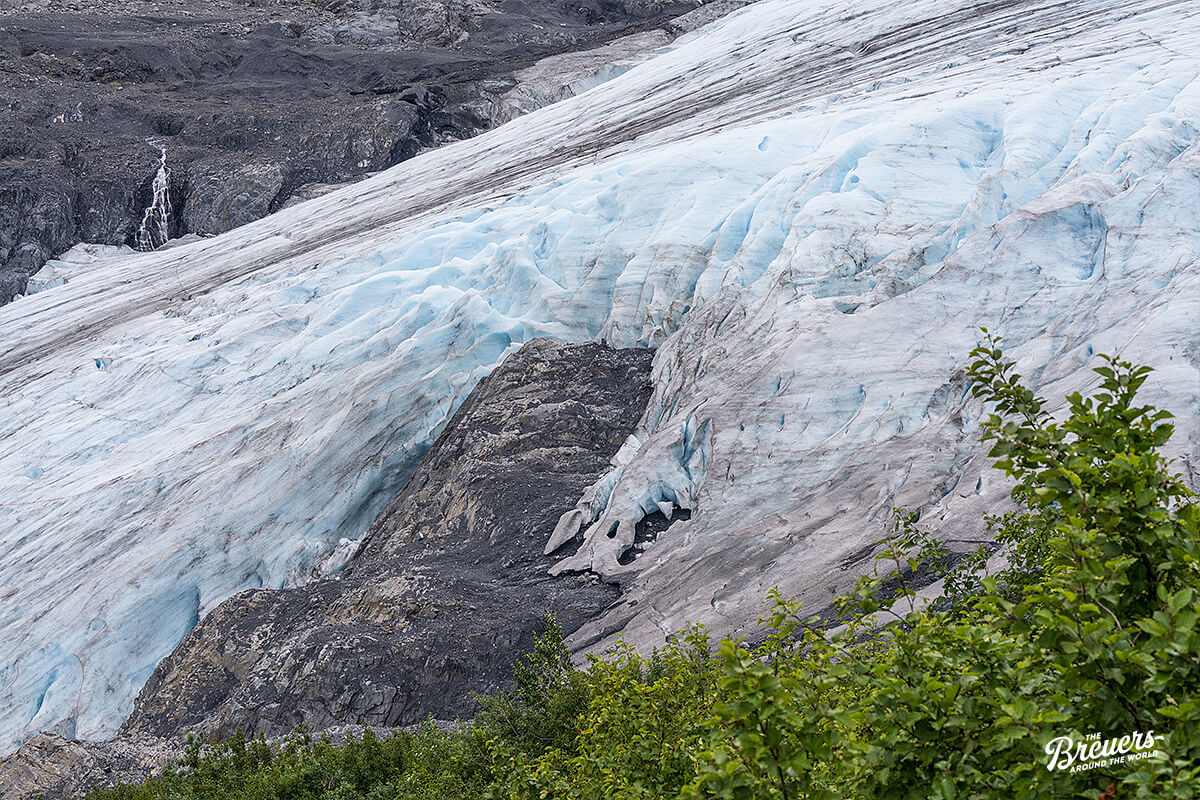 Detail des Exit Glacier am Marmot Meadows Overlook