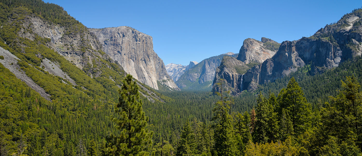 Reisebericht Yosemite Nationalpark Kalifornien USA