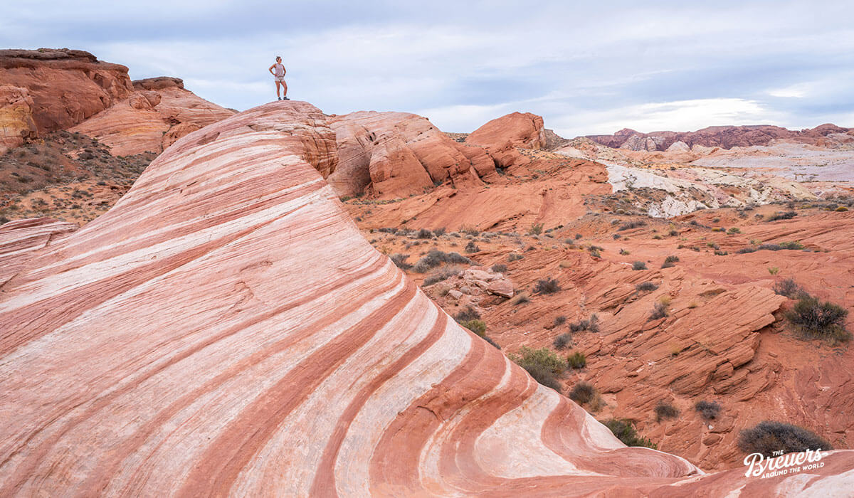 Fire Wave im Valley of Fire
