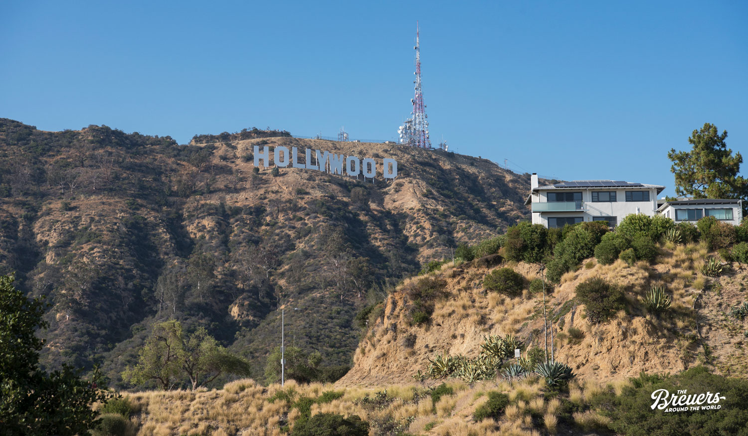 Blick auf das Hollywood Sign vom Lake Hollywood Park