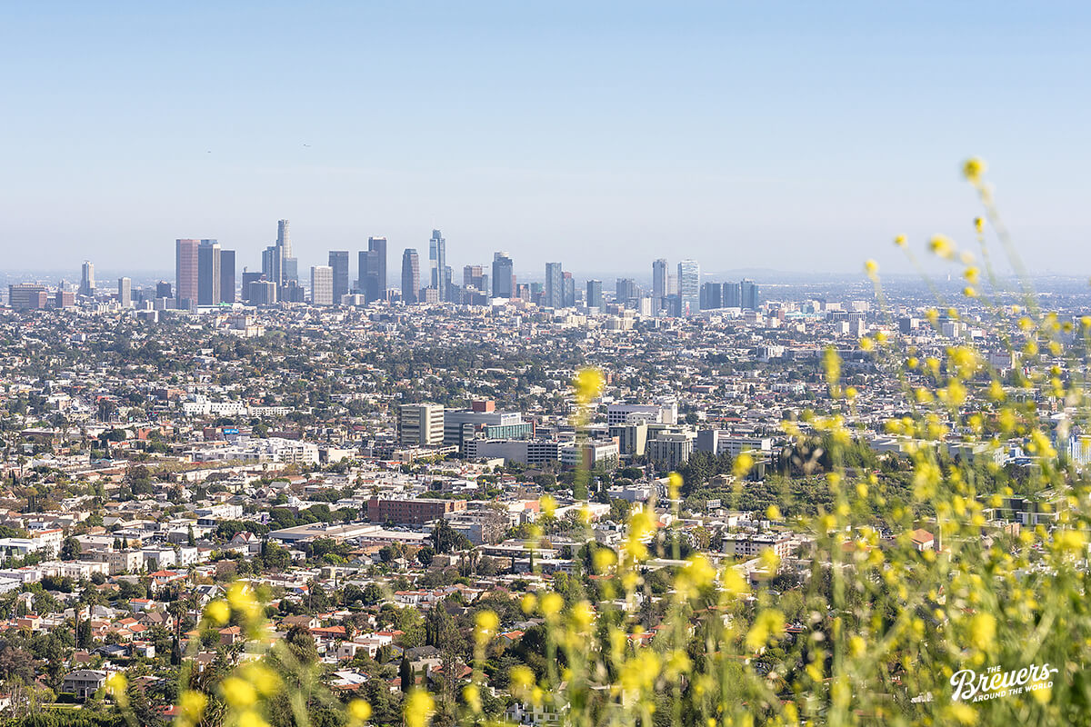 Blick auf die Skyline von Los Angeles vom Griffith Obervatory