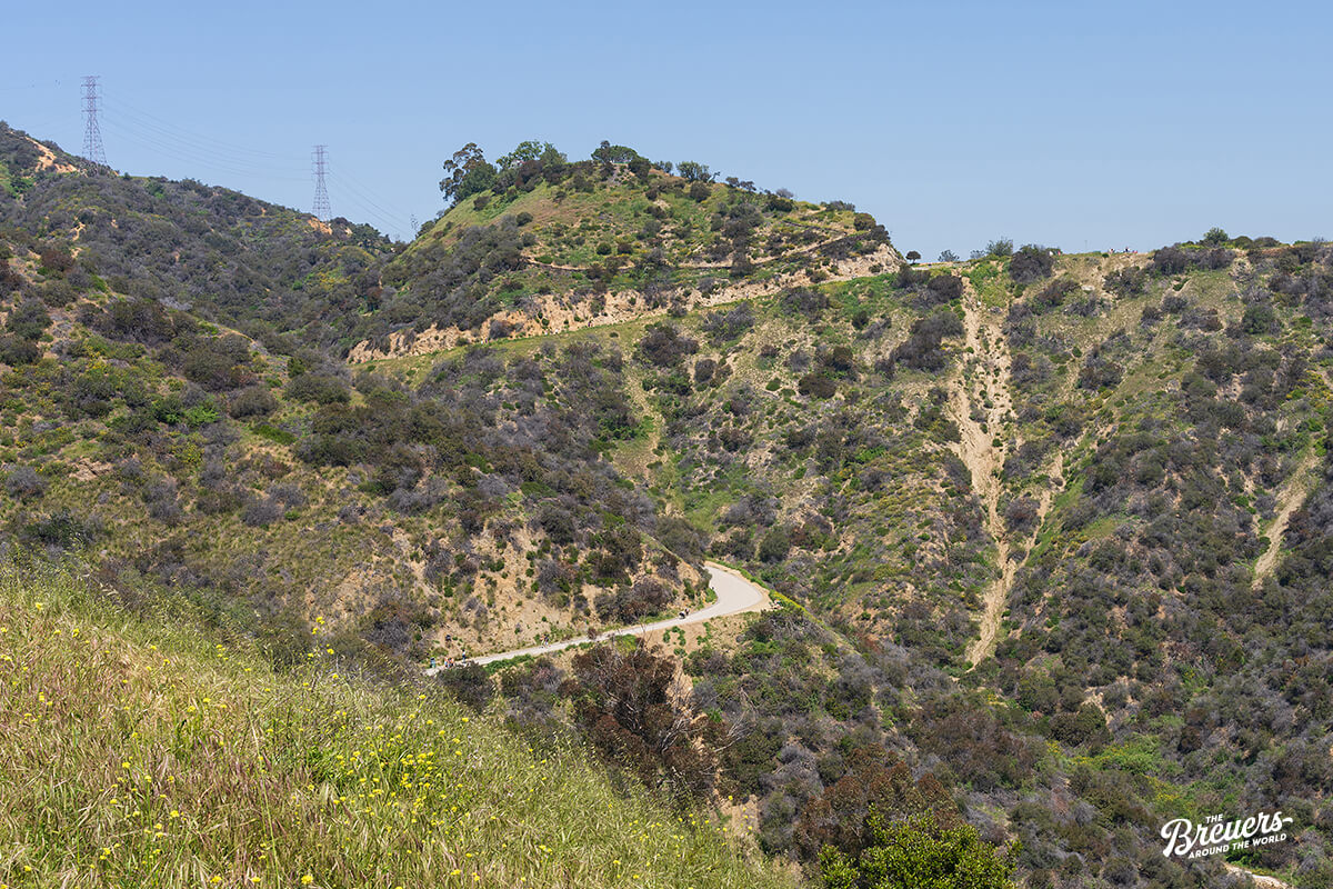 Steile Wanderwege im Runyon Canyon von Hollywood