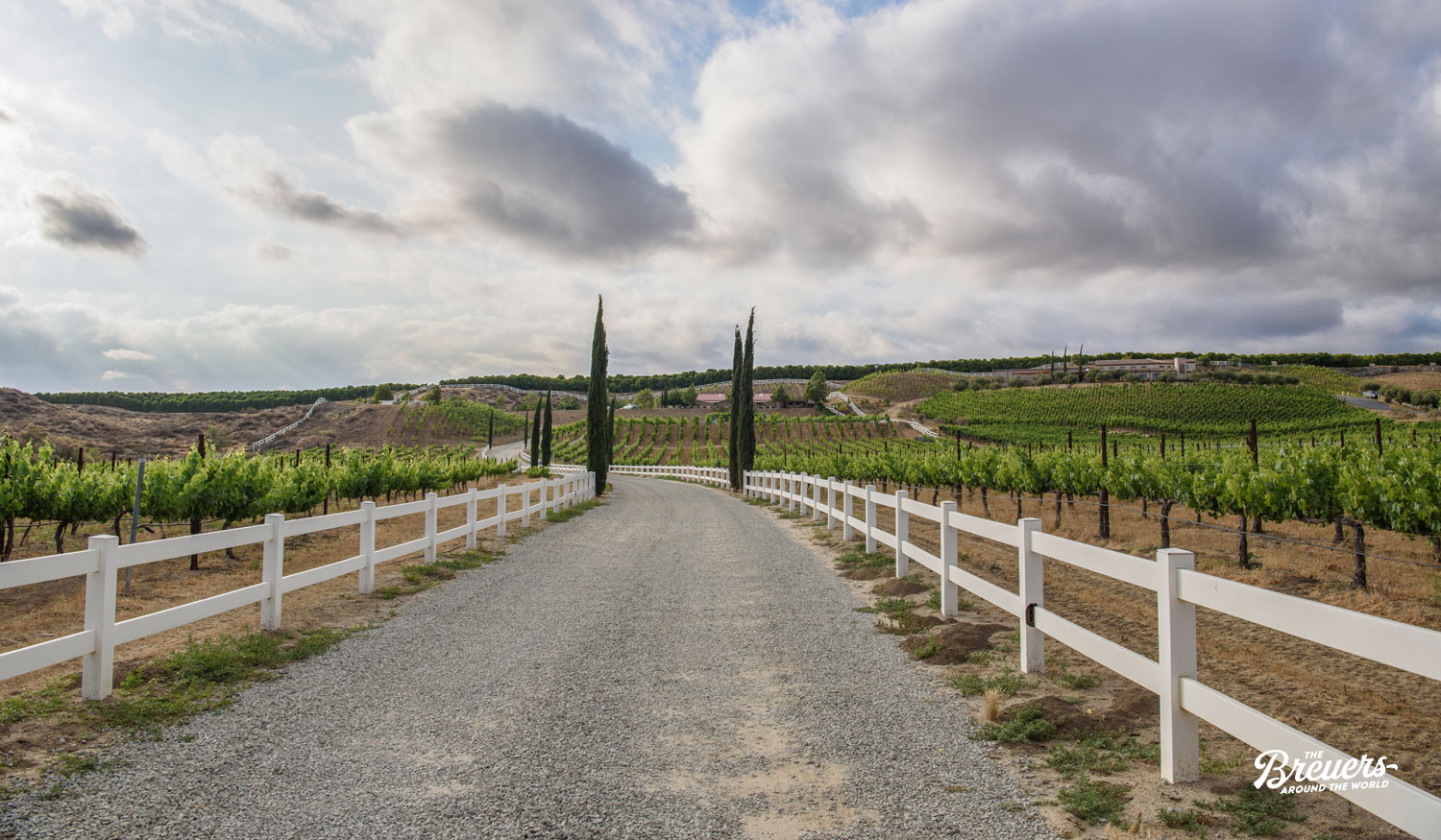 Weinbau Region Temecula Valley in Kalifornien
